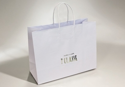 PAPER CARRIER BAG WITH TURNOVER TOP | FORMBAGS SpA