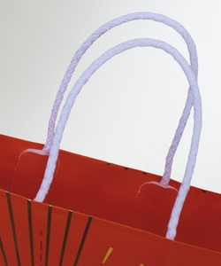 PAPER CARRIER BAG WITH TURNOVER TOP | FORMBAGS SpA